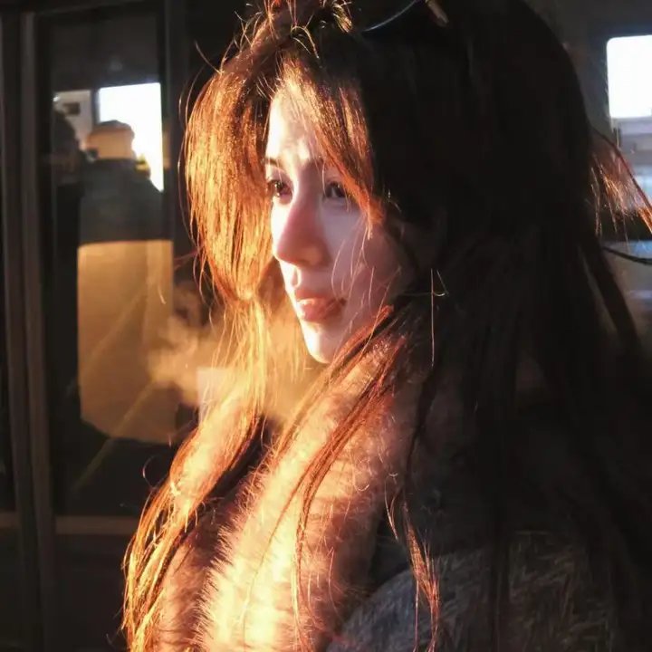 巨蝇